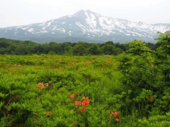 桑ノ木台湿原２