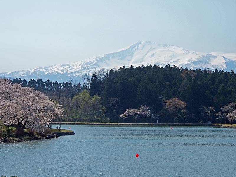 勢至公園と鳥海山