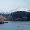 勢至公園と鳥海山