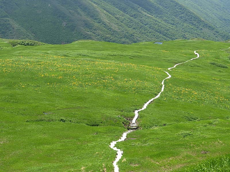 鳥海山千畳ヶ原１