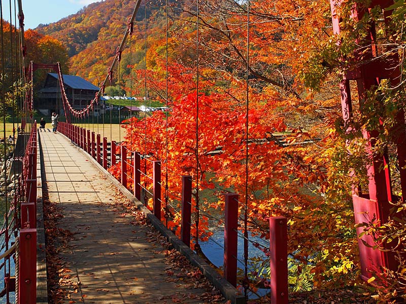 吊り橋と紅葉
