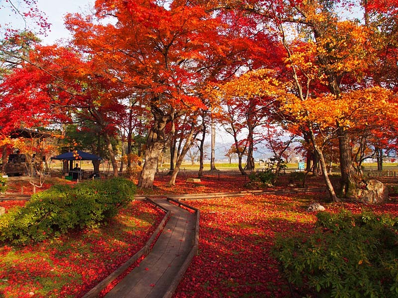 旧池田氏払田分家庭園の紅葉1