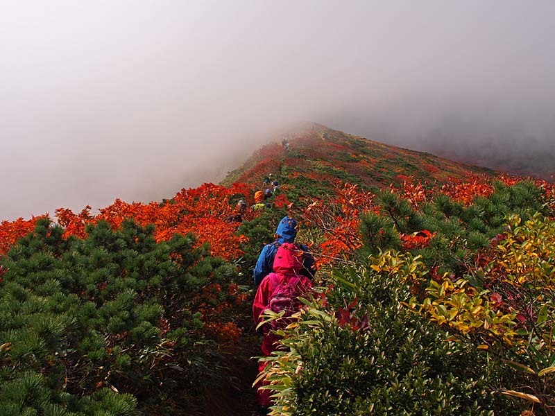 紅葉の栗駒山登山５