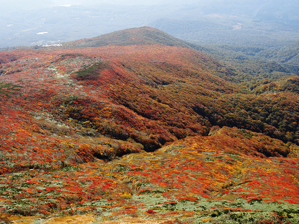 紅葉の栗駒山山頂から