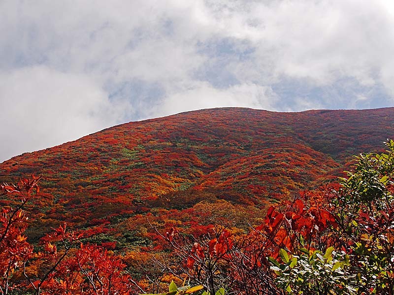 紅葉の栗駒山登山３