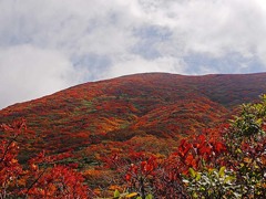 紅葉の栗駒山登山３