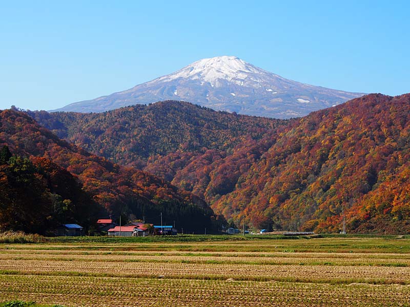 山里の秋