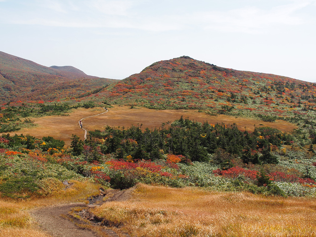 しろがね草原とモンサンミッシェル峰