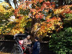 人力車に乗って