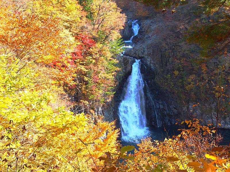 紅葉する法体の滝１