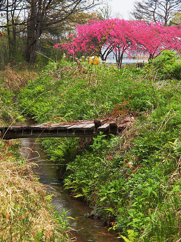 路傍の風景１