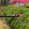 路傍の風景１