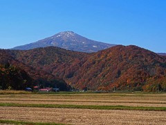 山里の秋３