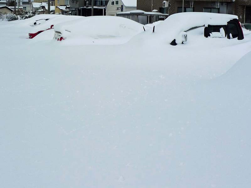 車が出せない