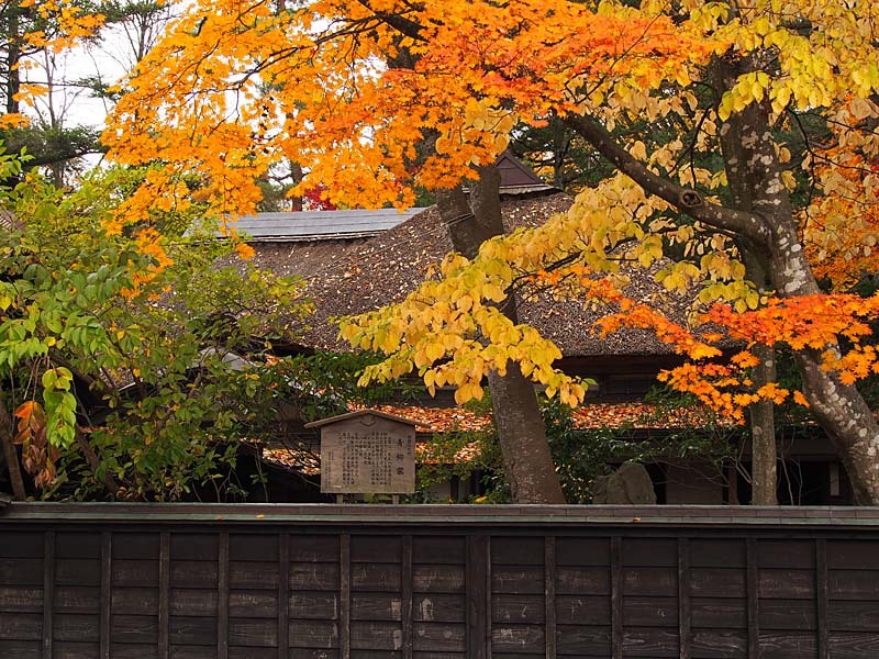 角館武家屋敷と紅葉２