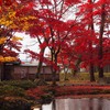 池田氏分家庭園４