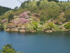 八塩の森