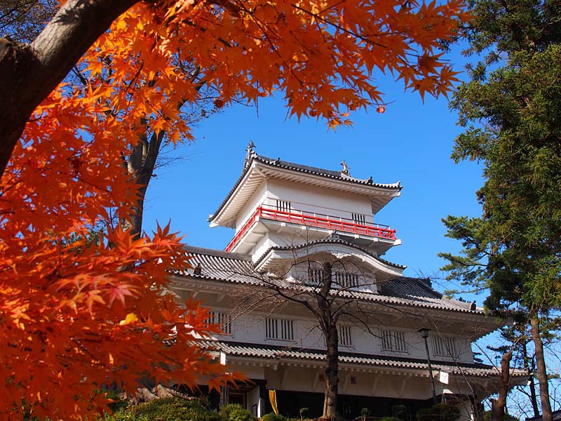 千秋公園・紅葉２