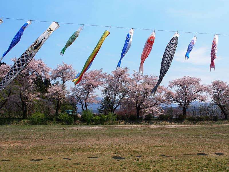 旧鮎川小学校の春４