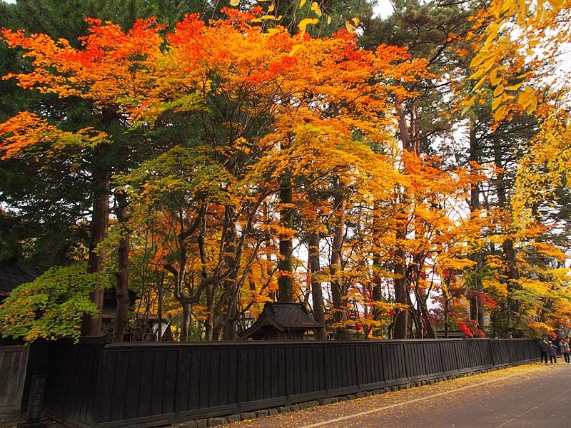 角館武家屋敷と紅葉６