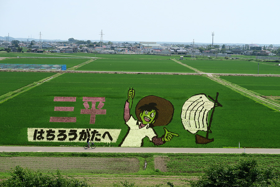 八郎潟町の田んぼアート
