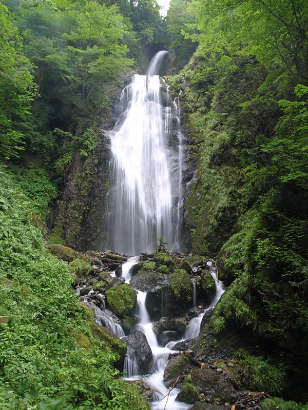 抱返り渓谷回顧の滝