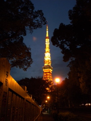 DSCN4621