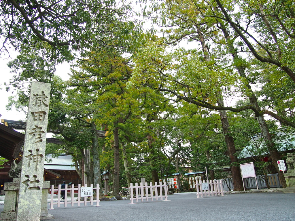 P3150739