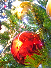 DSCN4932