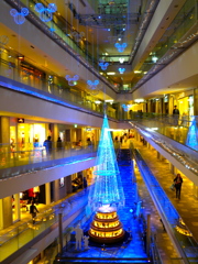 DSCN4554