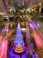 DSCN4555