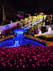 DSCN4812