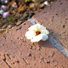 P3140563