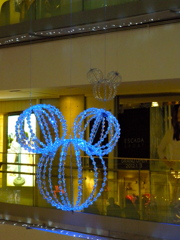 DSCN4572
