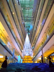 DSCN4565