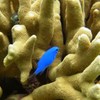吉野海岸にて