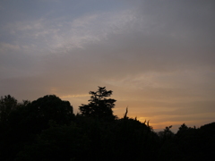 夕暮れ