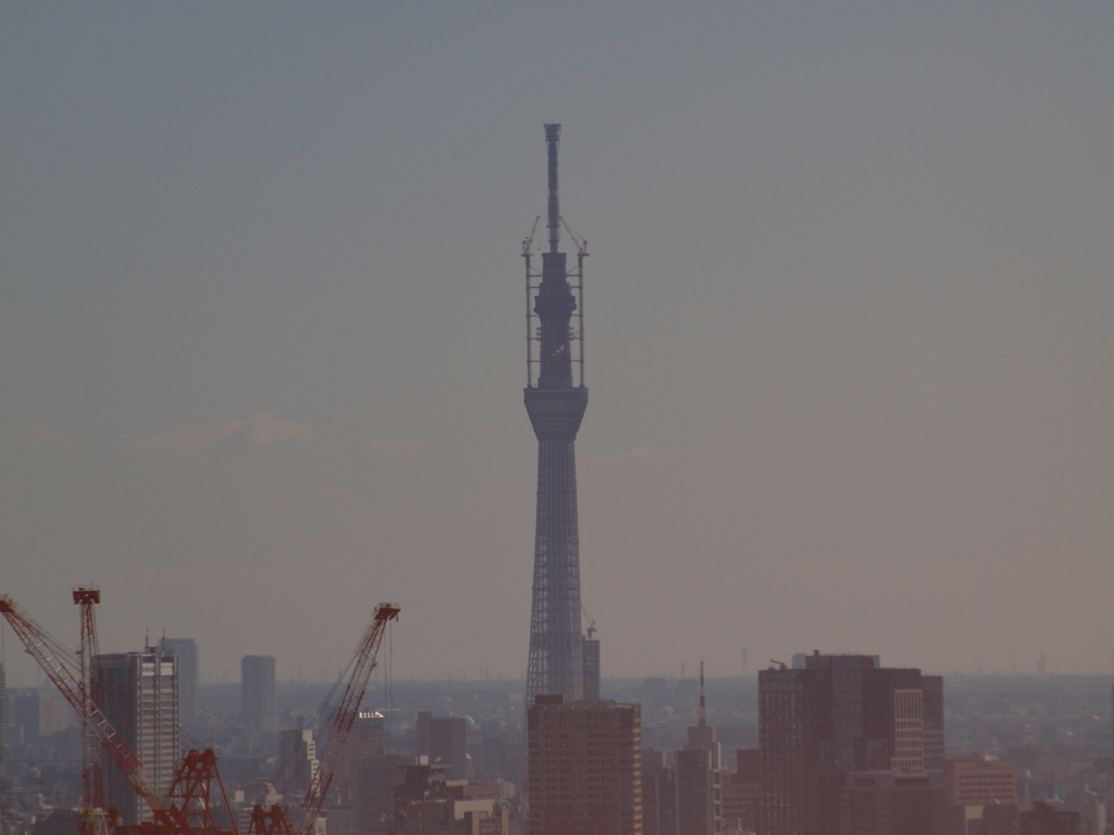 新宿から見たスカイツリー