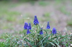 DSC00680