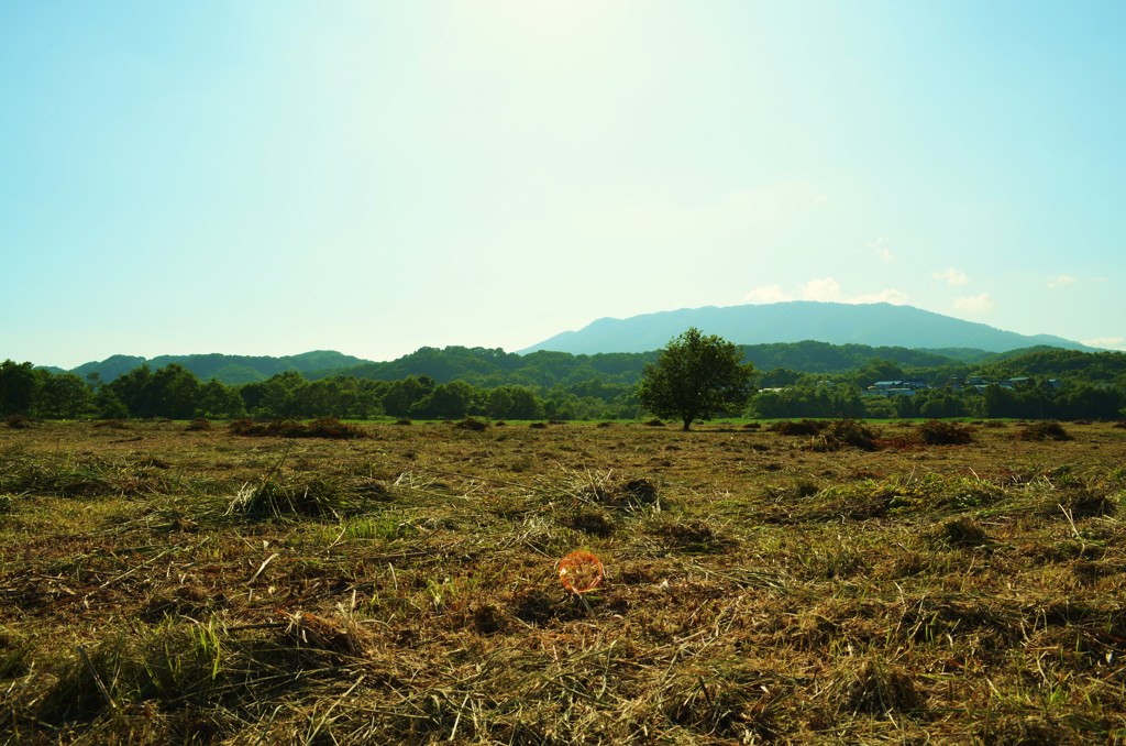 草刈り日和