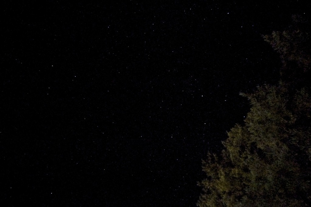 胎内平での星空