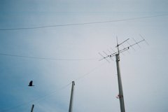 FH010016