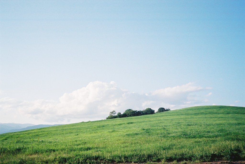 FH000011
