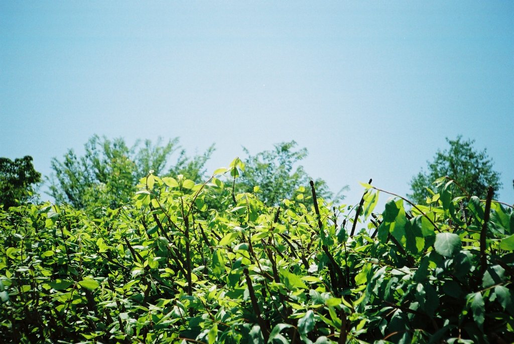 FH010023