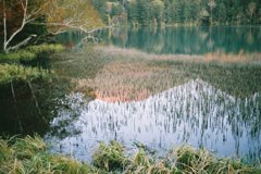 FH010016