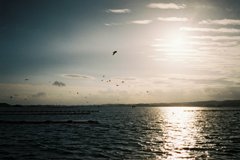 FH010010