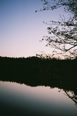 FH010019