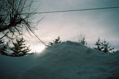 FH010018