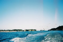 FH010009