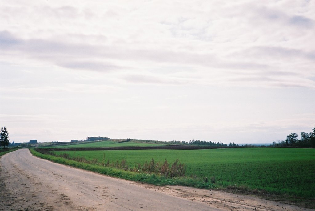 FH010004